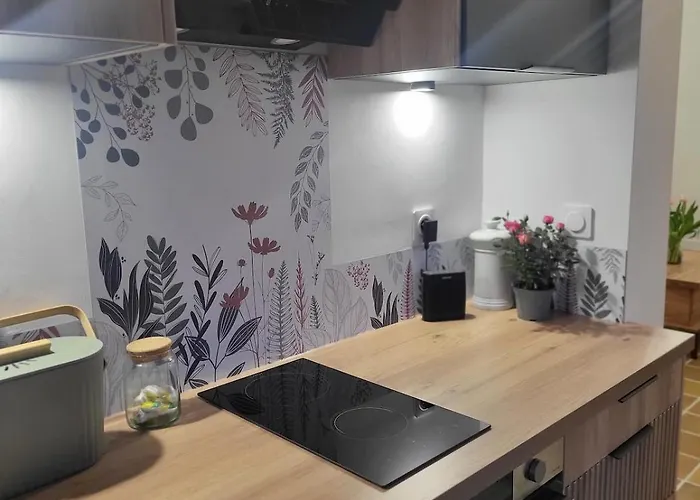 La Petite Maison Blanche Casa vacanze Dunkirk