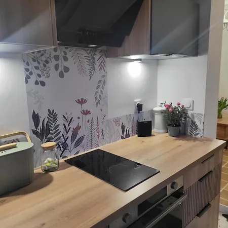 La Petite Maison Blanche 度假居 敦刻尔克